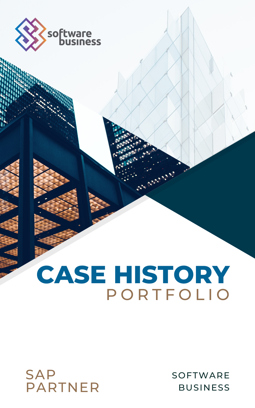 software business copertina case history download sito (1)